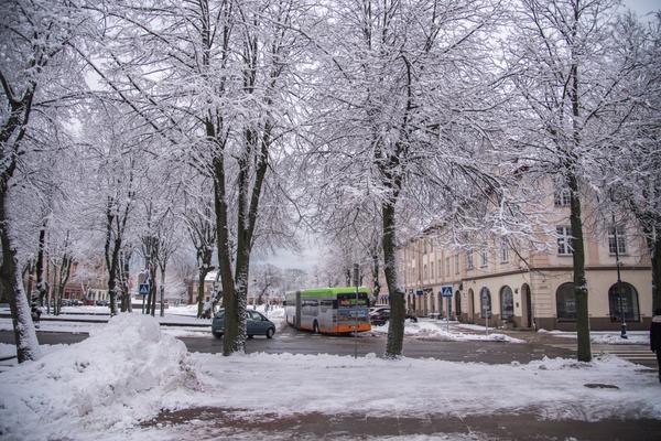 Плюсы медицинского туризма. Паланга, Клайпеда и&nbsp;немножко Куршской косы.