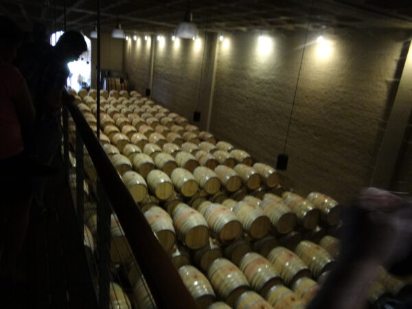 Groot Constantia. Последнее желание Наполеона